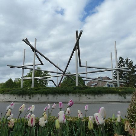 Appartamento Muehlerain Heitersheim Esterno foto